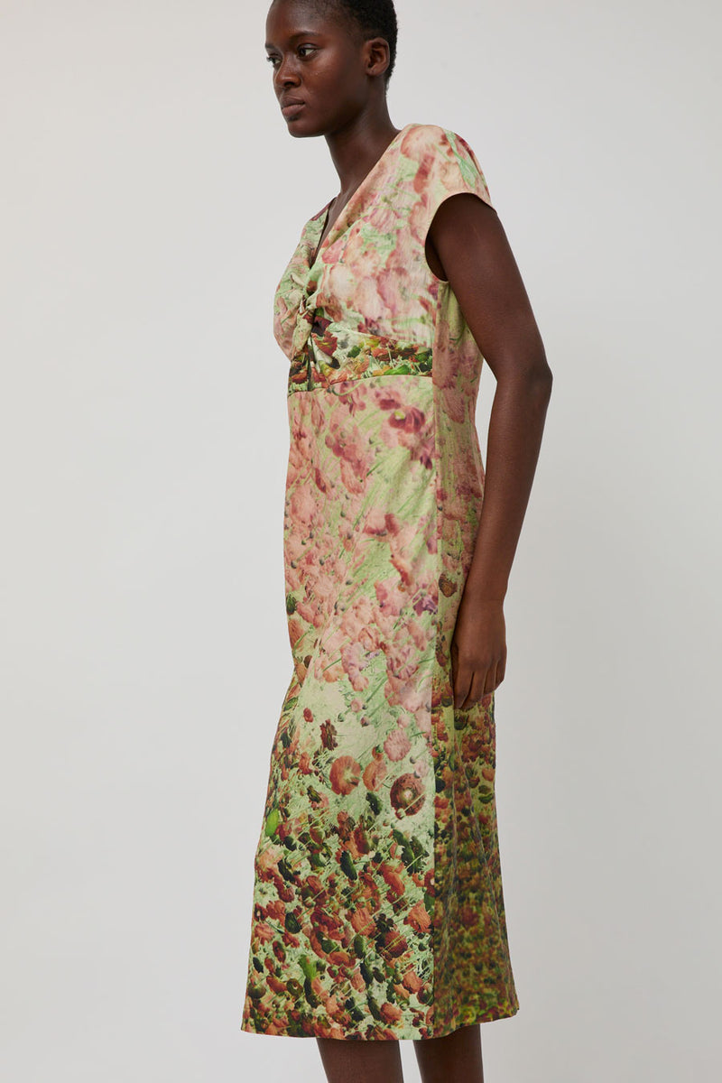 No.6 Naomi Dress in Auburn Floral