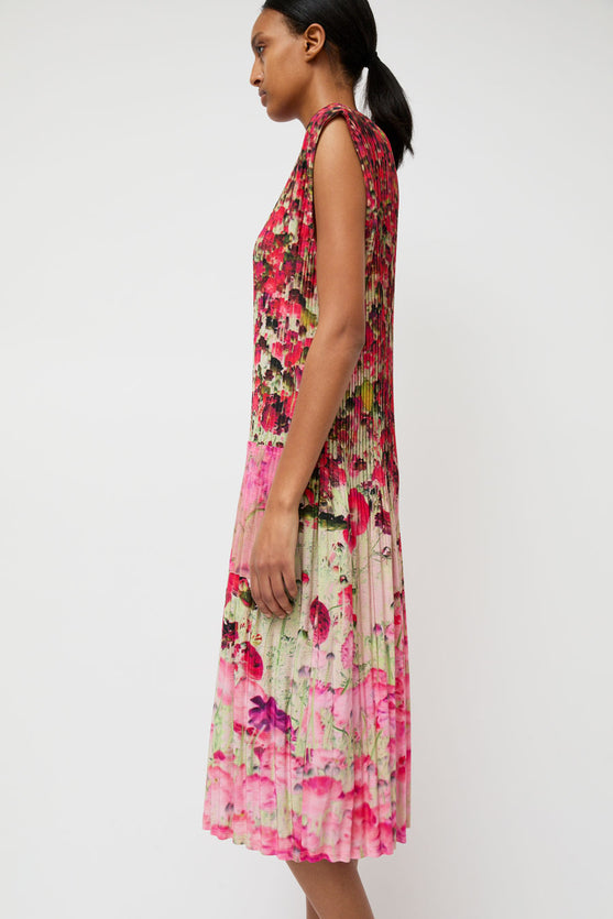 No.6 Tierney Dress in Rose Floral