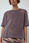 Simone Wild Mesh Velvet Oversized Tee in Mauve