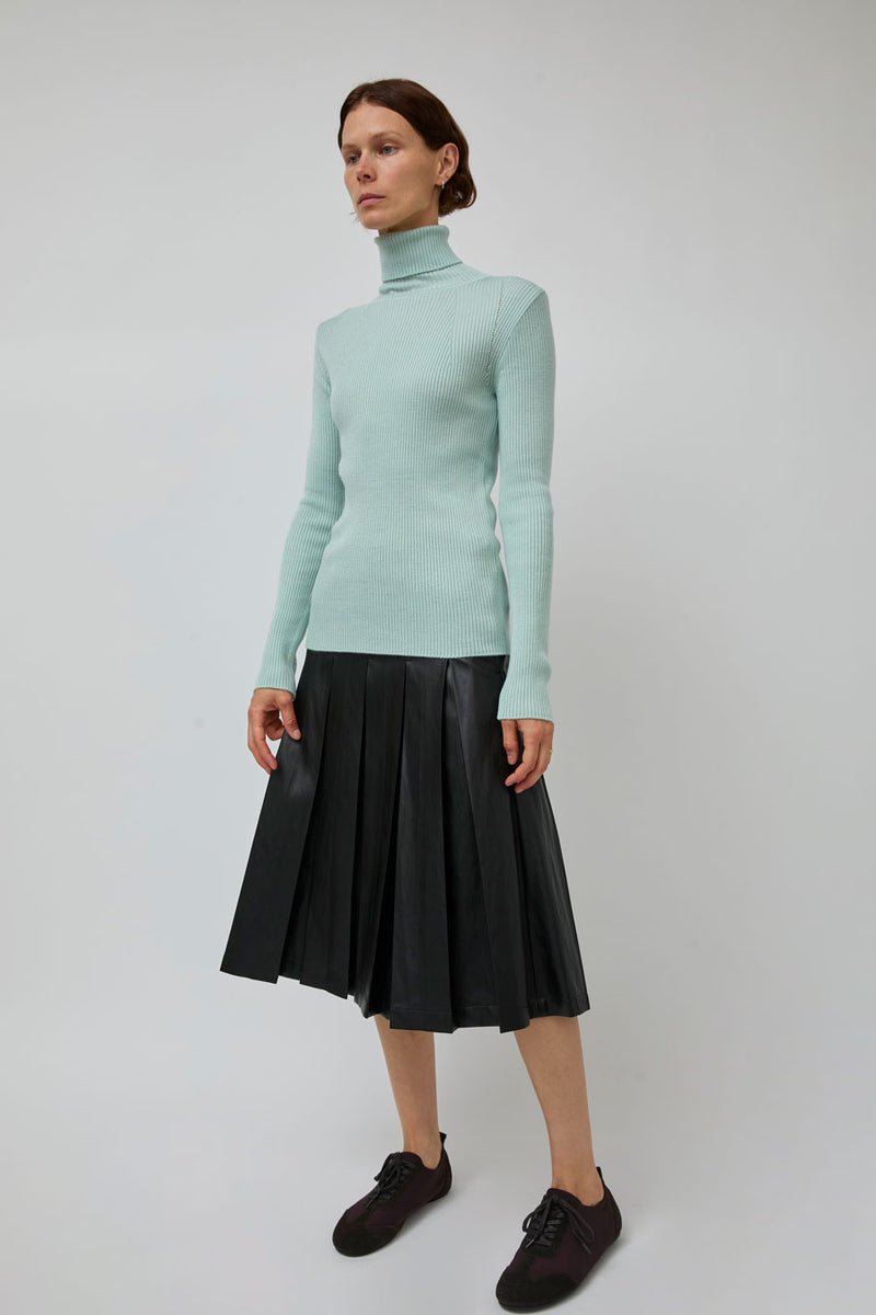 TONYWACK Slim-Fit Ribbed Turtleneck in Mint