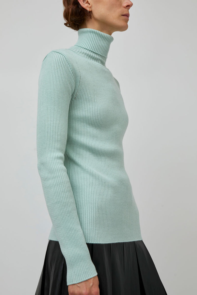 TONYWACK Slim-Fit Ribbed Turtleneck in Mint