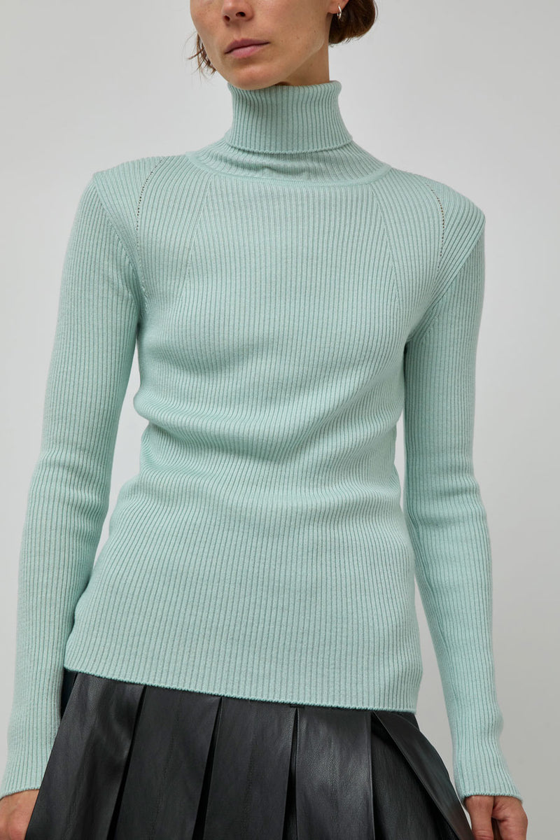 TONYWACK Slim-Fit Ribbed Turtleneck in Mint