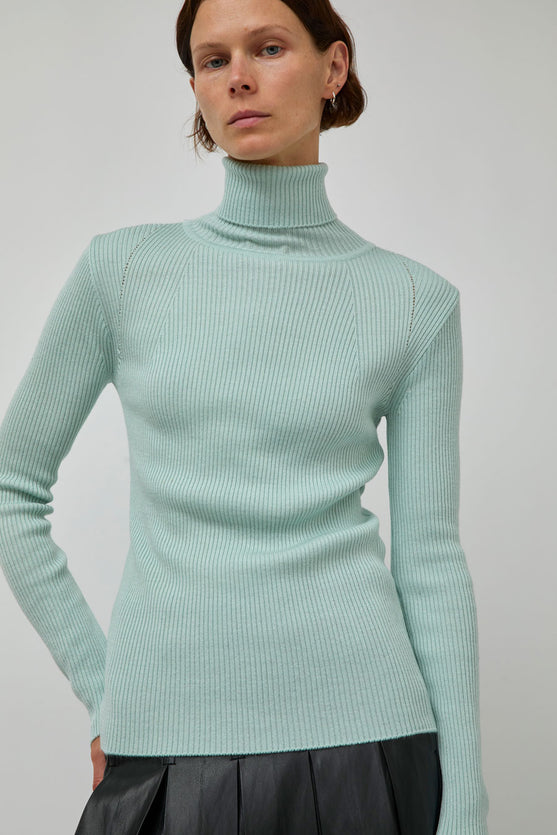 TONYWACK Slim-Fit Ribbed Turtleneck in Mint
