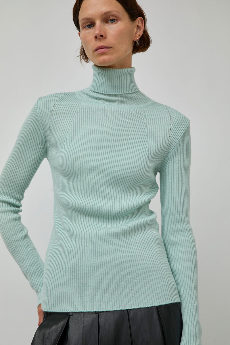 TONYWACK Slim-Fit Ribbed Turtleneck in Mint