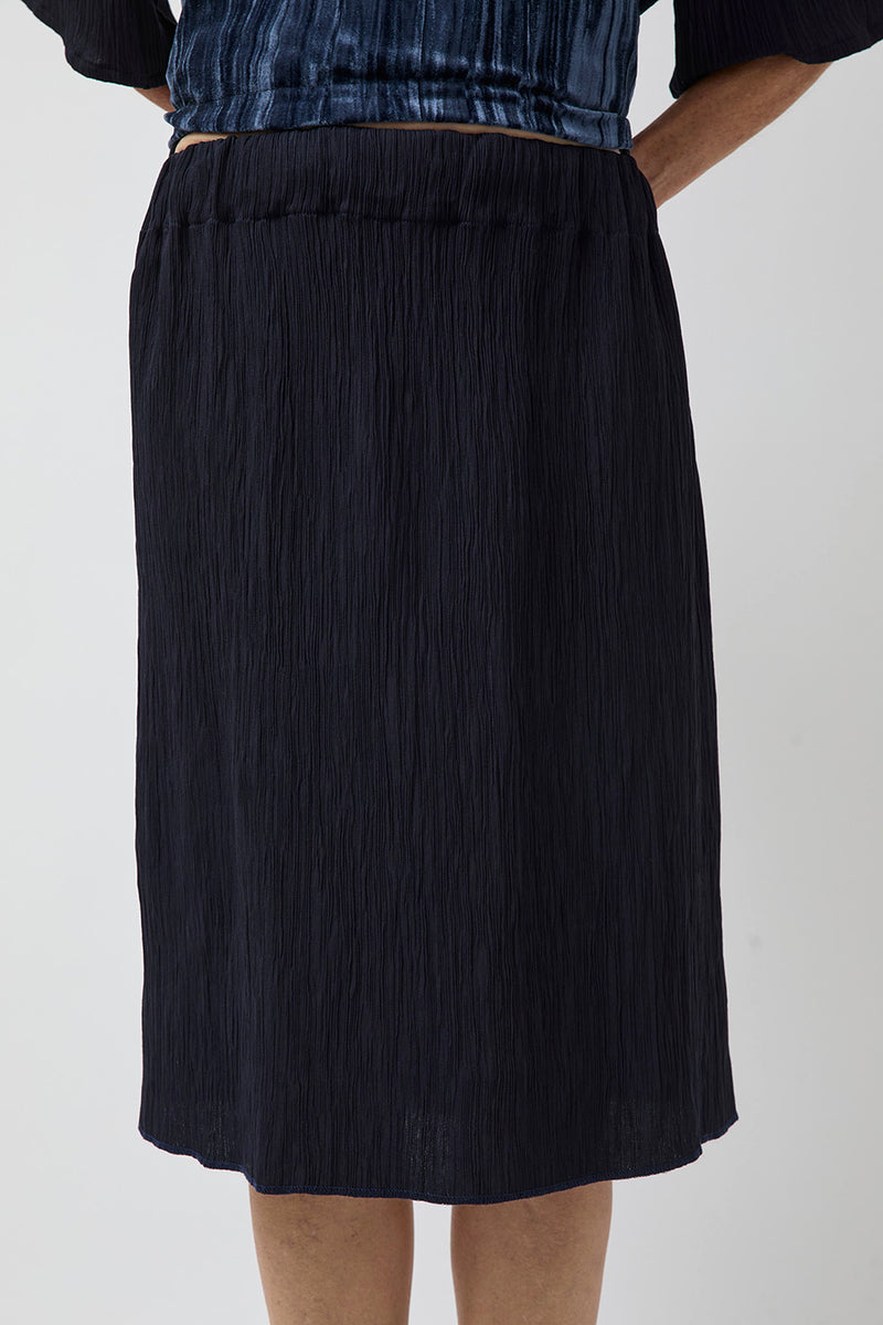 Vladimir Karaleev Pleated Skirt in Navy